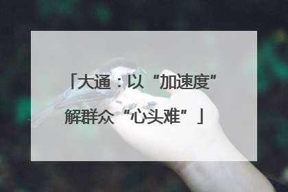 大通：以“加速度”解群众“心头难”