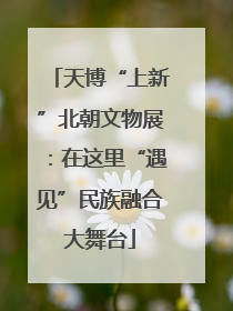 天博“上新”北朝文物展：在这里“遇见”民族融合大舞台