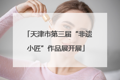 天津市第三届“非遗小匠”作品展开展