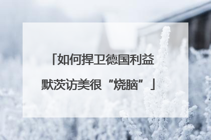 如何捍卫德国利益 默茨访美很“烧脑”
