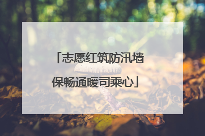 志愿红筑防汛墙 保畅通暖司乘心