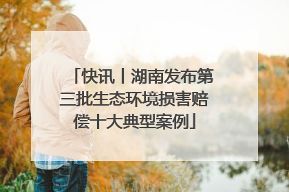 快讯丨湖南发布第三批生态环境损害赔偿十大典型案例