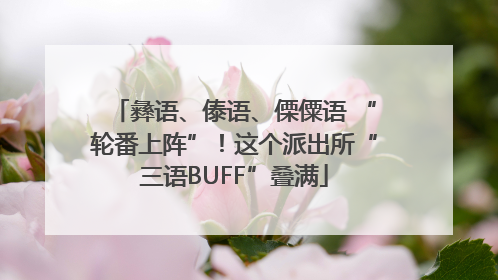 彝语、傣语、傈僳语 “轮番上阵”！这个派出所“三语BUFF”叠满