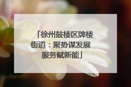 徐州鼓楼区牌楼街道：聚势谋发展 服务赋新能