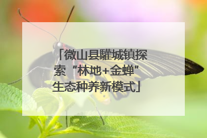 微山县驩城镇探索“林地+金蝉”生态种养新模式