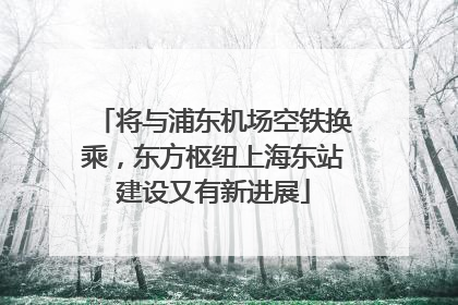 将与浦东机场空铁换乘，东方枢纽上海东站建设又有新进展