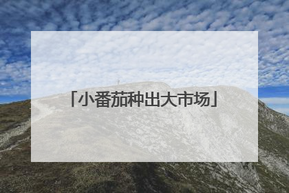 小番茄种出大市场