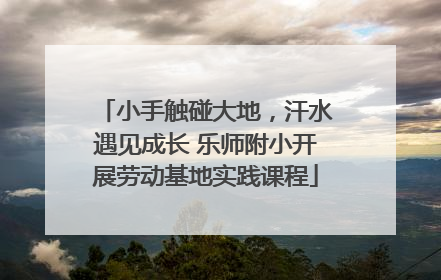 小手触碰大地，汗水遇见成长 乐师附小开展劳动基地实践课程