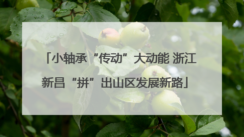 小轴承“传动”大动能 浙江新昌“拼”出山区发展新路