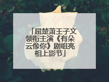 屈楚萧王子文领衔主演《有朵云像你》剧组亮相上影节