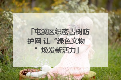 屯溪区织密古树防护网 让“绿色文物”焕发新活力