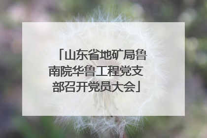 山东省地矿局鲁南院华鲁工程党支部召开党员大会