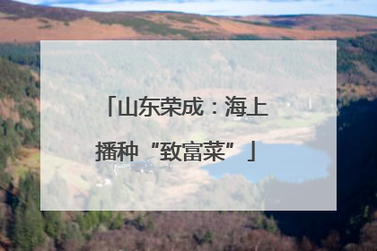 山东荣成：海上播种“致富菜”