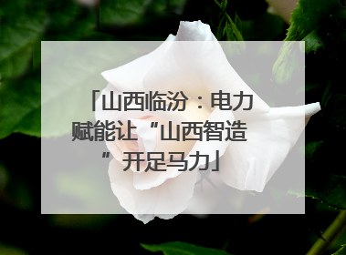 山西临汾：电力赋能让“山西智造”开足马力