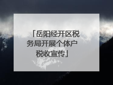 岳阳经开区税务局开展个体户税收宣传