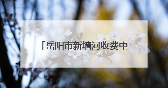 岳阳市新墙河收费中心为民服务暖人心