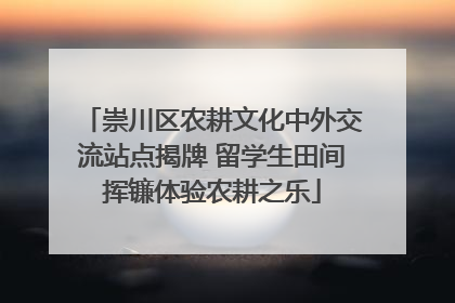 崇川区农耕文化中外交流站点揭牌 留学生田间挥镰体验农耕之乐