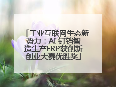 工业互联网生态新势力：AI 钉铛智造生产ERP获创新创业大赛优胜奖