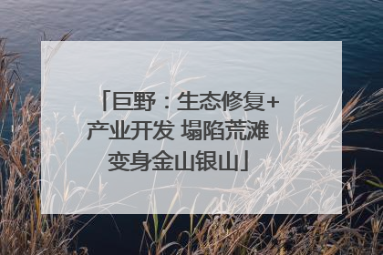 巨野：生态修复+产业开发 塌陷荒滩变身金山银山
