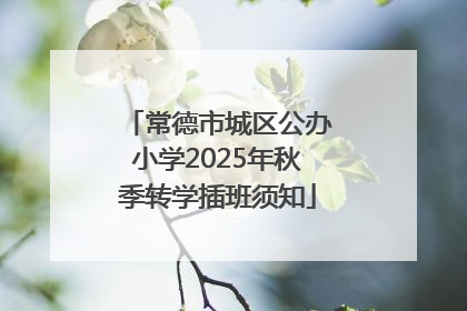 常德市城区公办小学2025年秋季转学插班须知