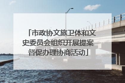 市政协文旅卫体和文史委员会组织开展提案督促办理协商活动