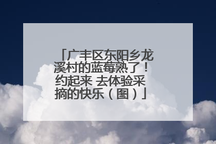 广丰区东阳乡龙溪村的蓝莓熟了！约起来 去体验采摘的快乐（图）