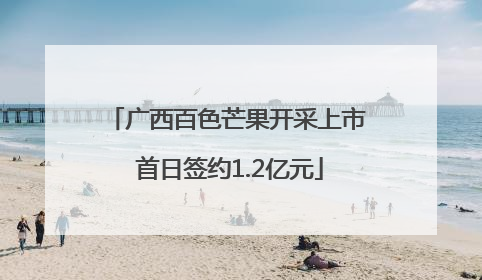 广西百色芒果开采上市 首日签约1.2亿元