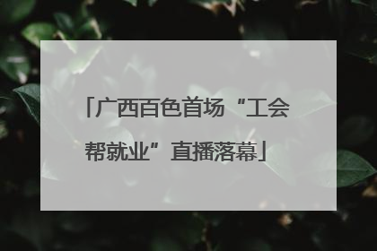广西百色首场“工会帮就业”直播落幕