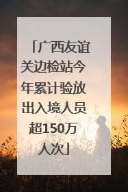 广西友谊关边检站今年累计验放出入境人员超150万人次