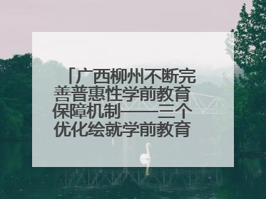 广西柳州不断完善普惠性学前教育保障机制——三个优化绘就学前教育新图景