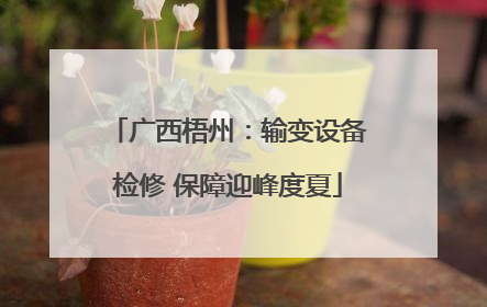 广西梧州：输变设备检修 保障迎峰度夏