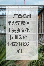 广西横州举办峦城鱼生美食文化节 推动产业标准化发展
