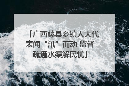 广西藤县乡镇人大代表闻“汛”而动 监督疏通水渠解民忧