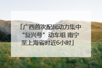 广西首次配属动力集中“复兴号”动车组 南宁至上海省时近6小时