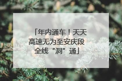 年内通车！天天高速无为至安庆段全线“洞”通