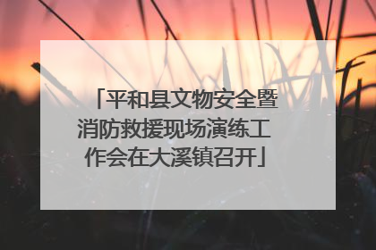 平和县文物安全暨消防救援现场演练工作会在大溪镇召开