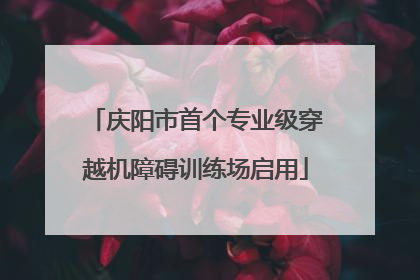 庆阳市首个专业级穿越机障碍训练场启用