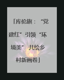 库伦旗：“党建红”引领“环境美” 共绘乡村新画卷