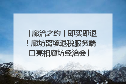 廊洽之约丨即买即退！廊坊离境退税服务端口亮相廊坊经洽会