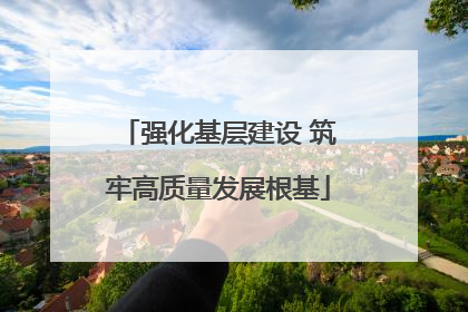 强化基层建设 筑牢高质量发展根基