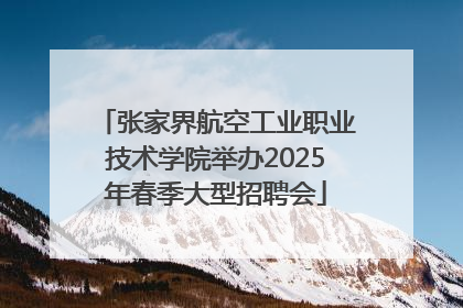 张家界航空工业职业技术学院举办2025年春季大型招聘会