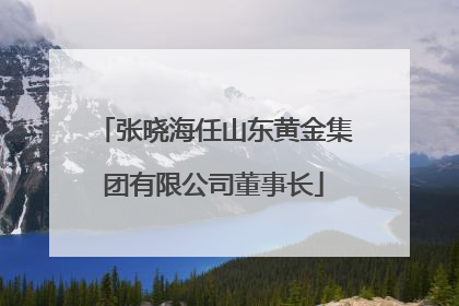 张晓海任山东黄金集团有限公司董事长