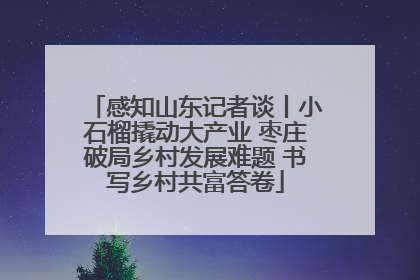 感知山东记者谈丨小石榴撬动大产业 枣庄破局乡村发展难题 书写乡村共富答卷