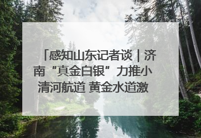 感知山东记者谈｜济南“真金白银”力推小清河航道 黄金水道激活区域经济新动能