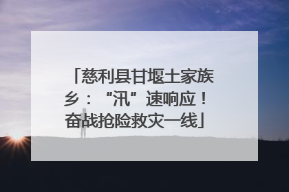 慈利县甘堰土家族乡：“汛”速响应！奋战抢险救灾一线