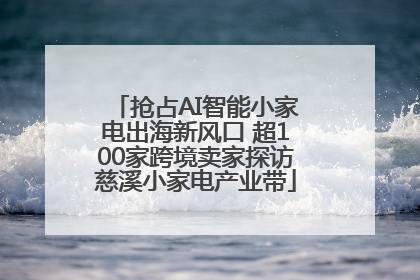 抢占AI智能小家电出海新风口 超100家跨境卖家探访慈溪小家电产业带