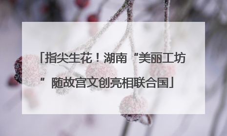 指尖生花！湖南“美丽工坊”随故宫文创亮相联合国