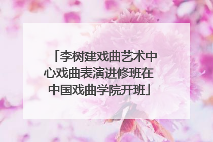 李树建戏曲艺术中心戏曲表演进修班在中国戏曲学院开班