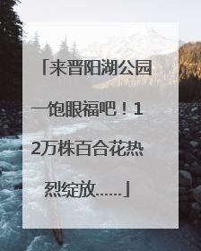 来晋阳湖公园一饱眼福吧！12万株百合花热烈绽放……