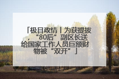 极目政情丨为获提拔，“80后”副区长送给国家工作人员巨额财物被“双开”